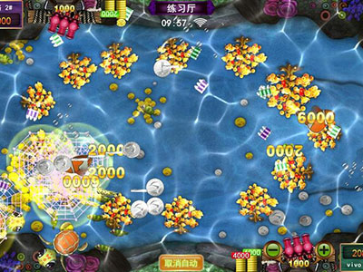 游戏十代星力全新